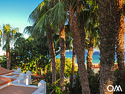 De bungalows hebben een klein terras en zijn slechts 30 meter van de zee De bungalows hebben een klein terras en zijn slechts 30 meter van de zee